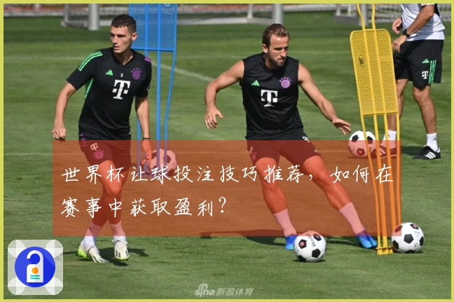 世界杯让球投注技巧推荐，如何在赛事中获取盈利？