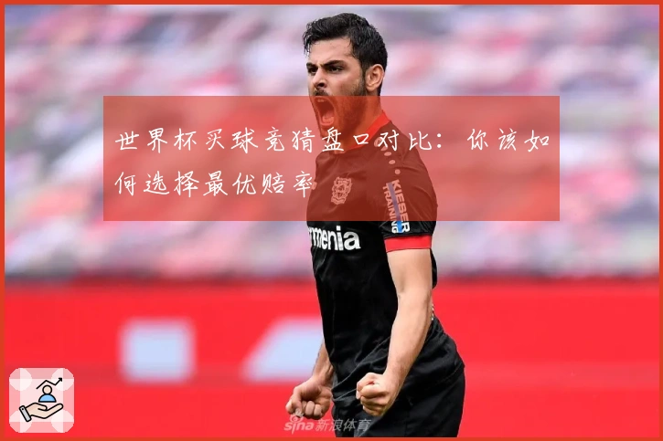 世界杯买球竞猜盘口对比：你该如何选择最优赔率