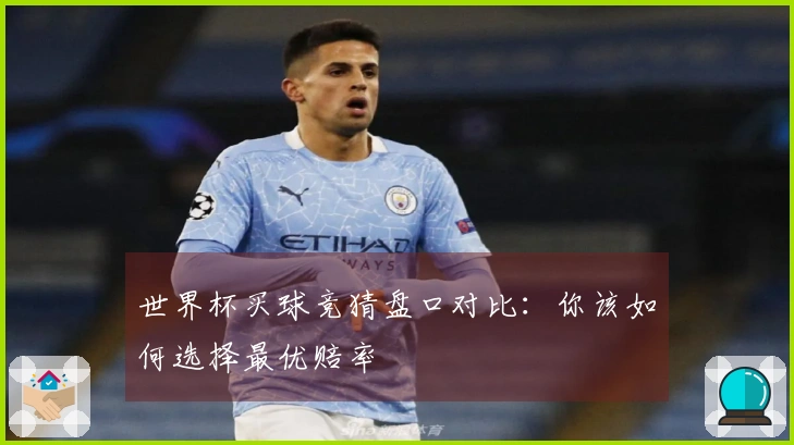 世界杯买球竞猜盘口对比：你该如何选择最优赔率