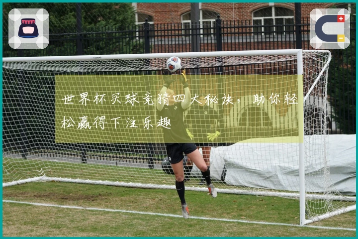 世界杯买球竞猜四大秘诀，助你轻松赢得下注乐趣