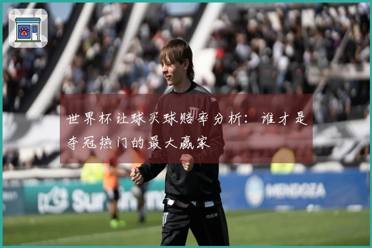 世界杯让球买球赔率分析：谁才是夺冠热门的最大赢家