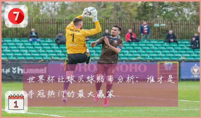 世界杯让球买球赔率分析：谁才是夺冠热门的最大赢家