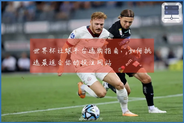 世界杯让球平台选购指南，如何挑选最适合你的投注网站