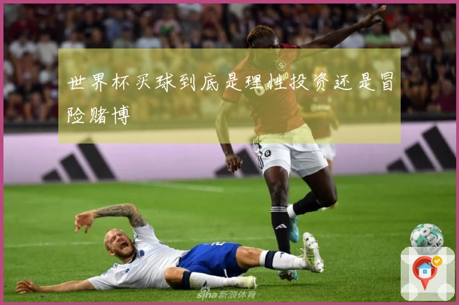 世界杯买球到底是理性投资还是冒险赌博