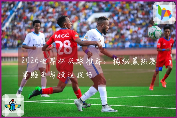 2026世界杯买球推荐，揭秘最热赛事赔率与投注技巧