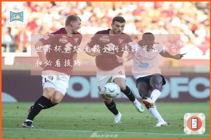 世界杯买球竞猜如何选择可靠平台和必看技巧